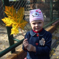 День приёмного родителя 04.10.2019