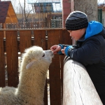 Альпака 1.4.15
