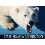 Зоопарк «Лимпопо» возобновляет серию именных акций