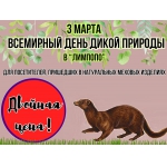 Акцию «Шуба из норки к лицу только норке» проведет зоопарк «Лимпопо» в День дикой природы