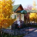 Осенний "Пляж"