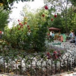 Центральная клумба