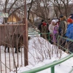 Лимпопо зимой