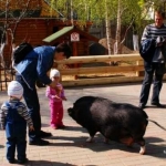 В русской деревне