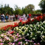 Цветы в зоопарке