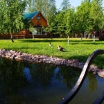 Вид с моста