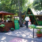 Кафе 38 попугаев