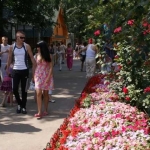 Цветы в зоопарке