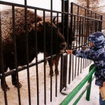 Не остались в этот день без угощения и питомцы зоопарка