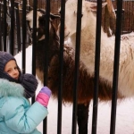 В гостях у лам