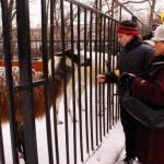 Лама Зюша