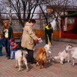 Контактный зоопарк