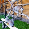 Кошачий лемур (Lemur catta)